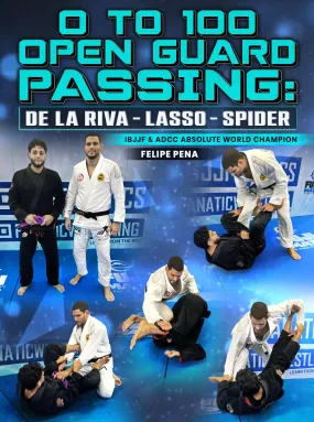 0 To 100 Open Guard Passing: De La riva - Lasso - Spider by Felipe Pena Preguica