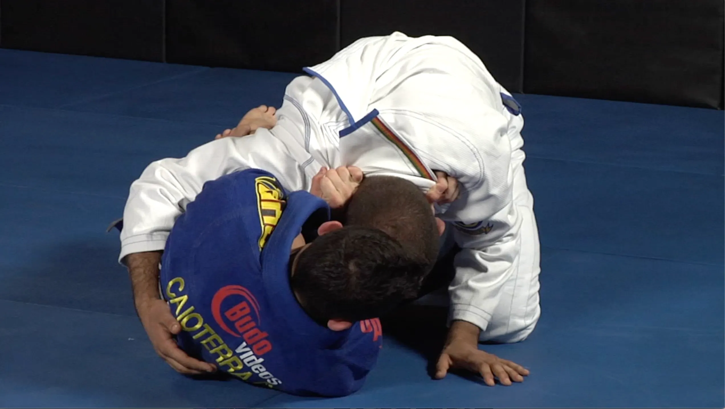 111 Half Guard Techniques 3 DVD Set with Caio Terra