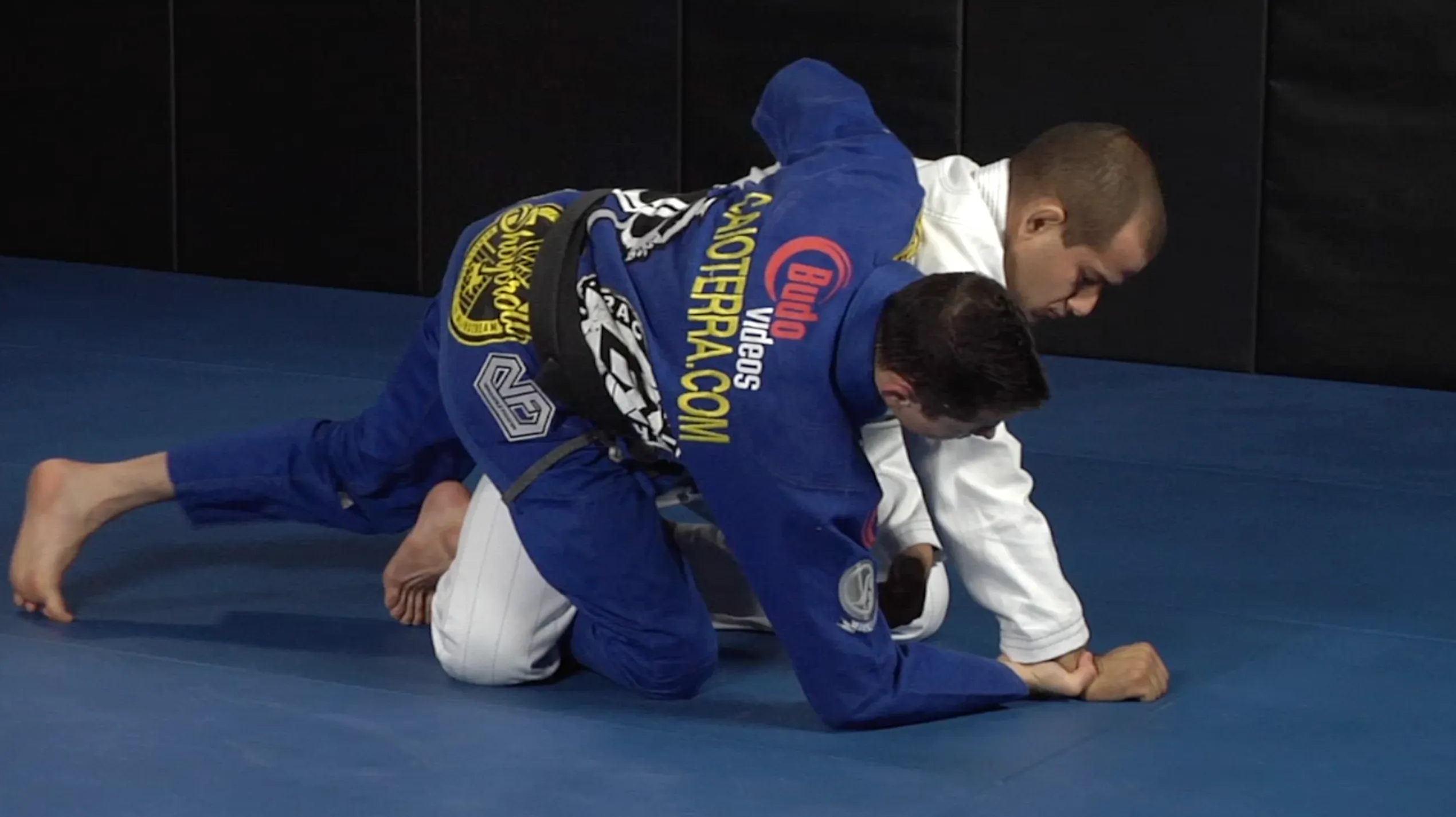 111 Half Guard Techniques 3 DVD Set with Caio Terra