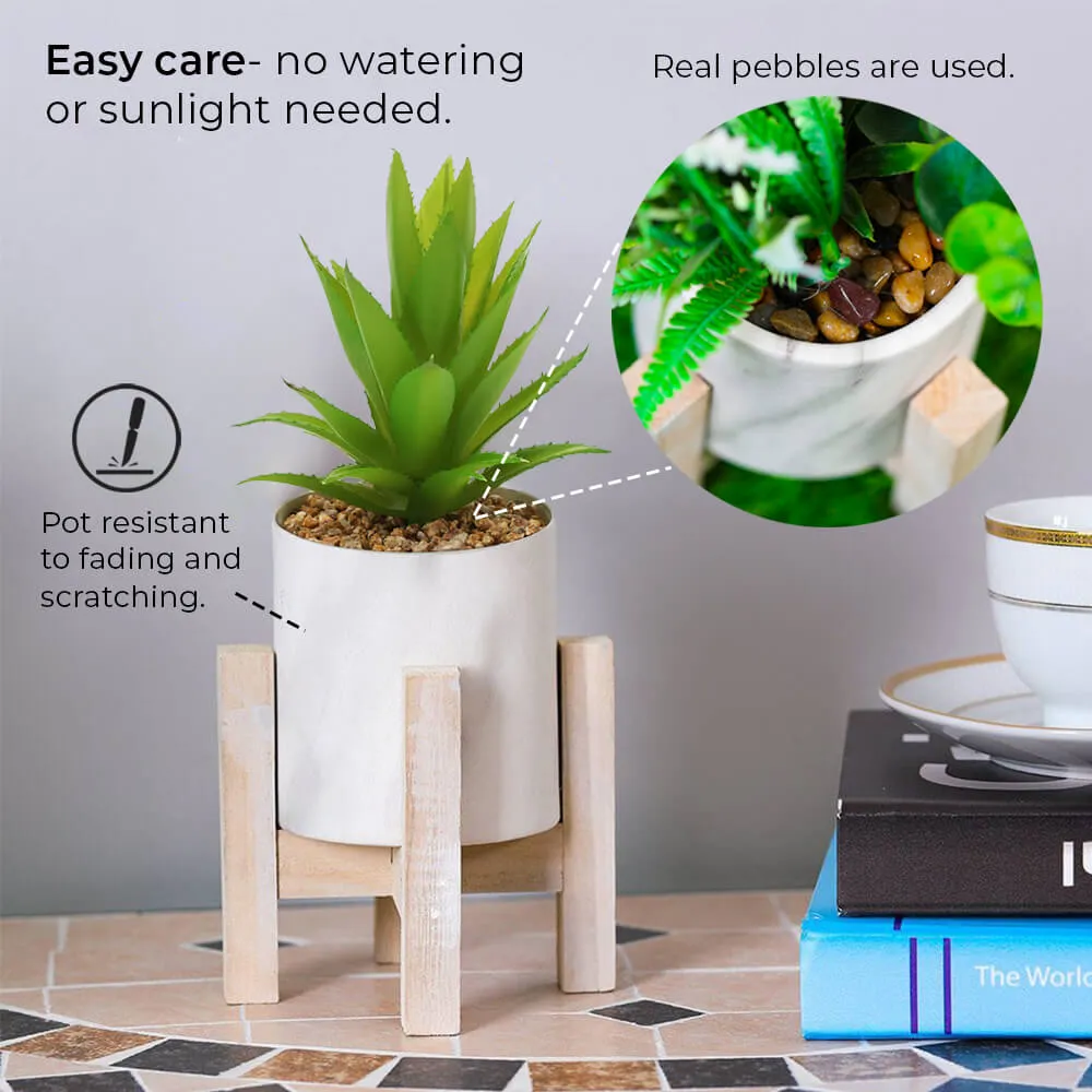 Artificial Succulent with Wooden Stand - Set of 2