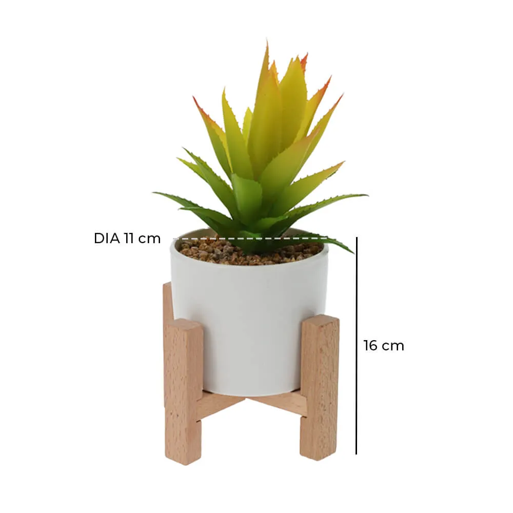 Artificial Succulent with Wooden Stand - Set of 2