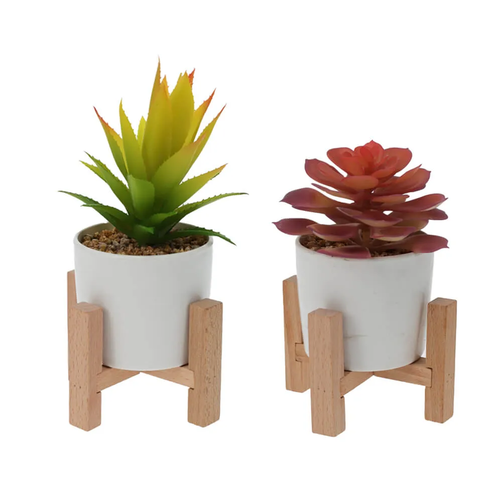 Artificial Succulent with Wooden Stand - Set of 2