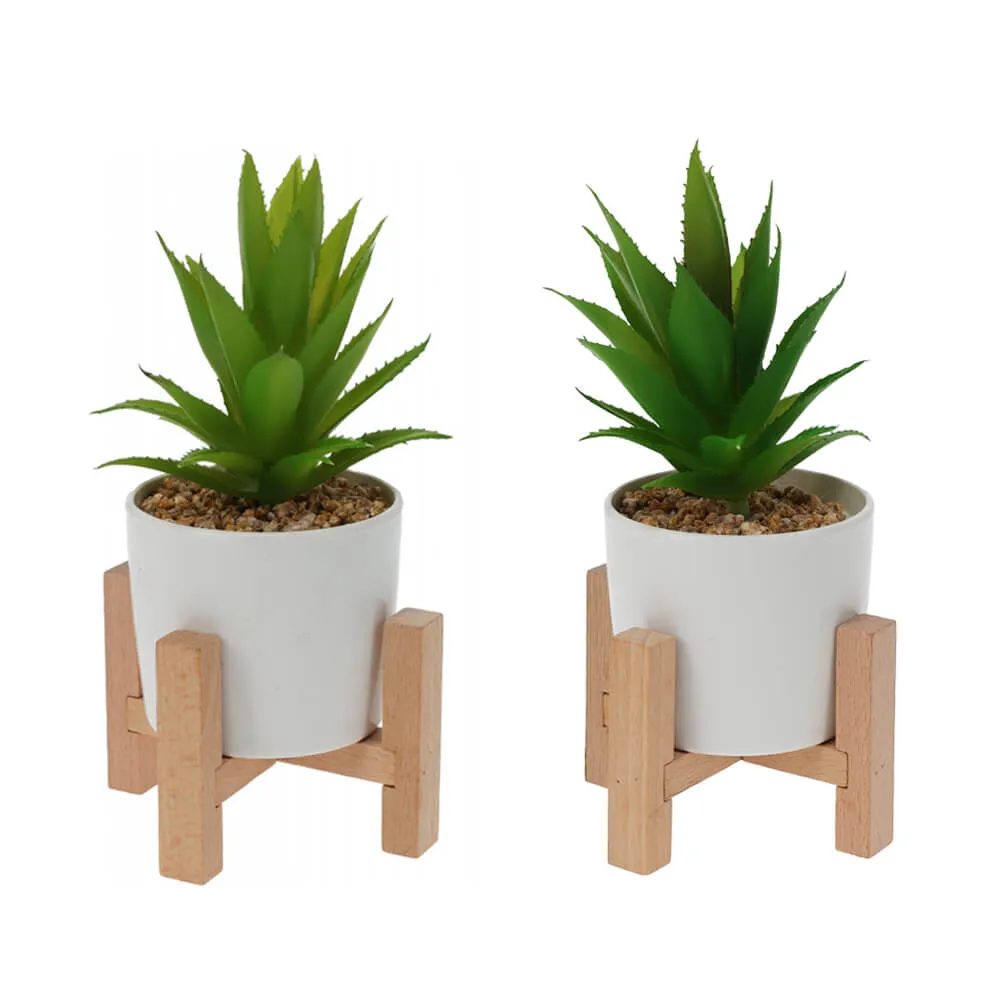 Artificial Succulent with Wooden Stand - Set of 2