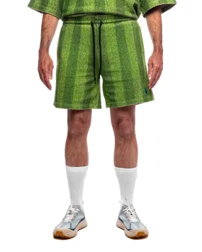 Astro Shorts Evergreen Turf