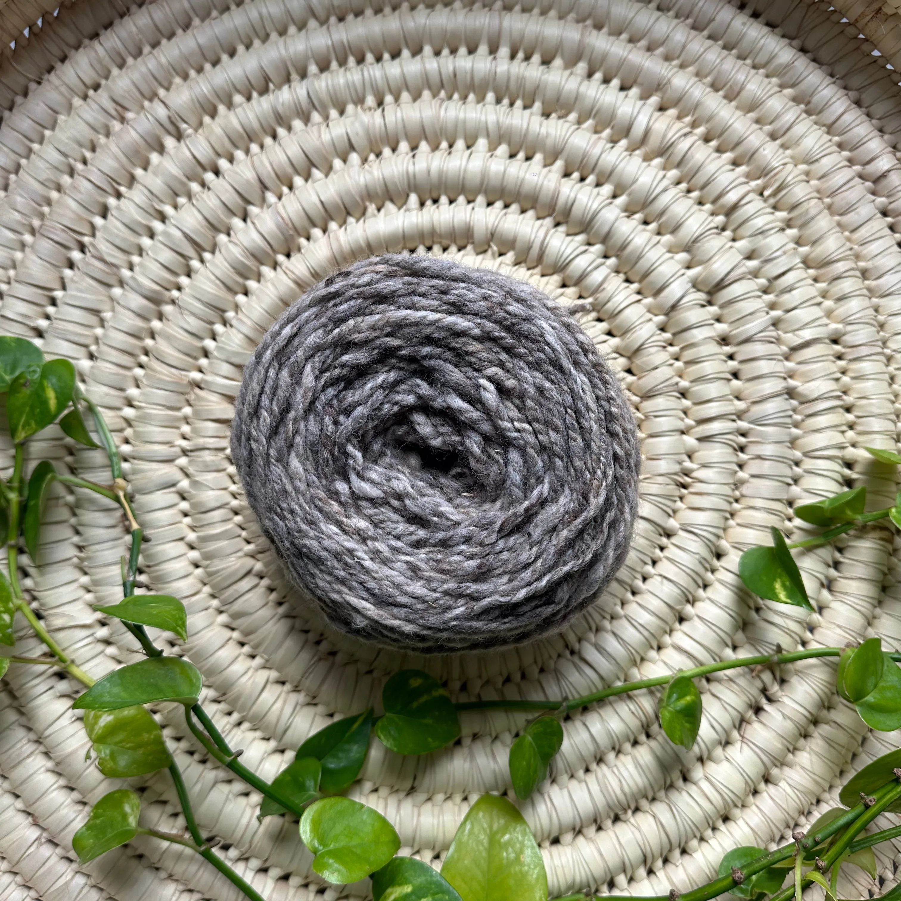 Beginner Knitting Kit