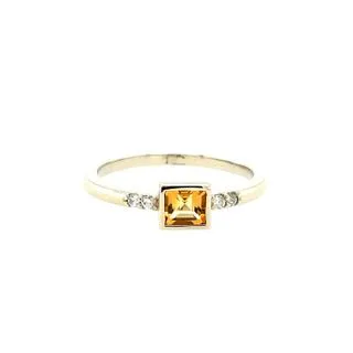 Birthstone Ring - Princess Center