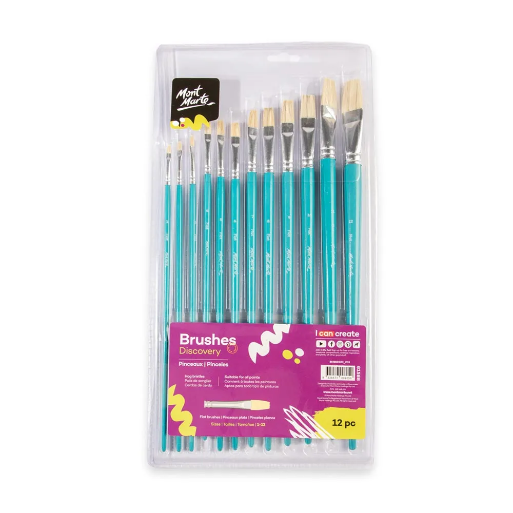 Flat Brushes Discovery 12pc