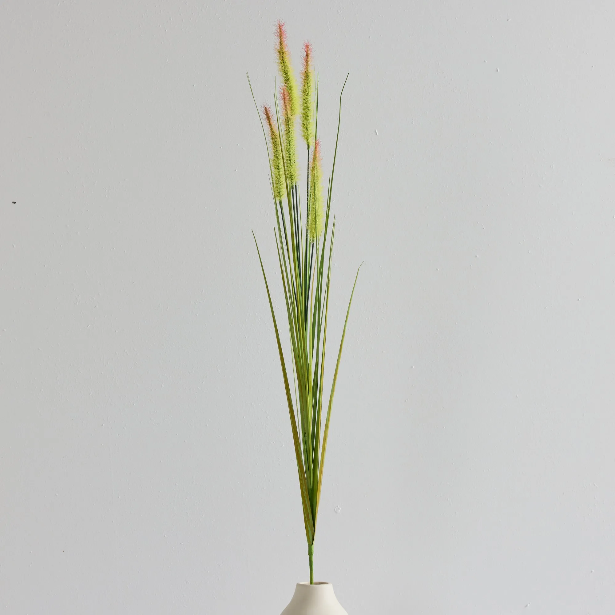 Fountain Grass Stem - Green/Orange