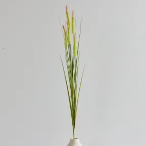 Fountain Grass Stem - Green/Orange