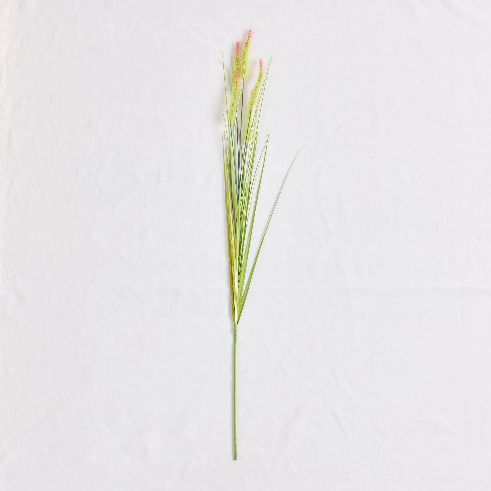 Fountain Grass Stem - Green/Orange