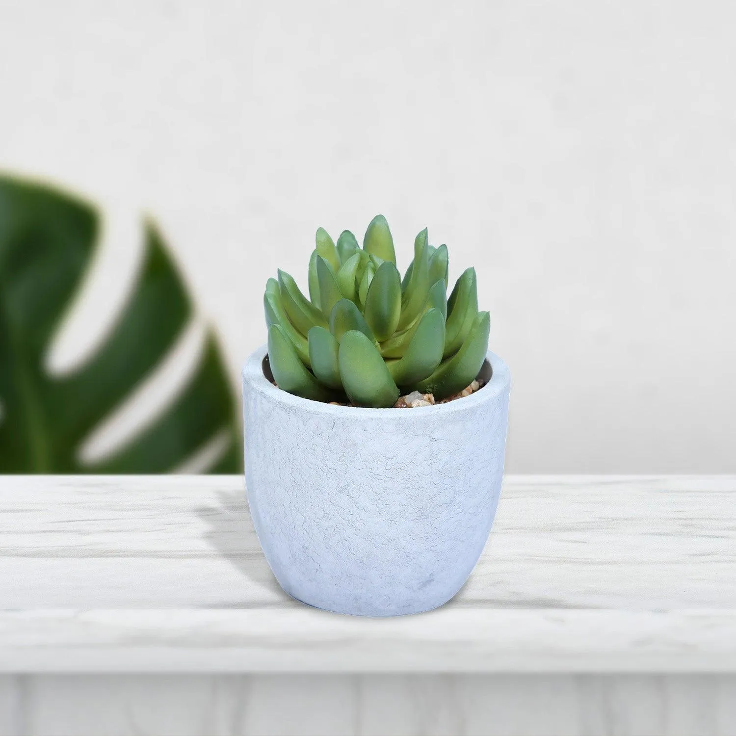 Mini Artificial Plant/Flower in Ceramic Pot/Planter