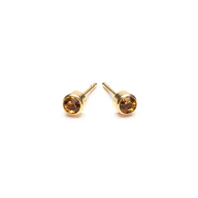 November Birthstone 14k Gold Plated Earrings