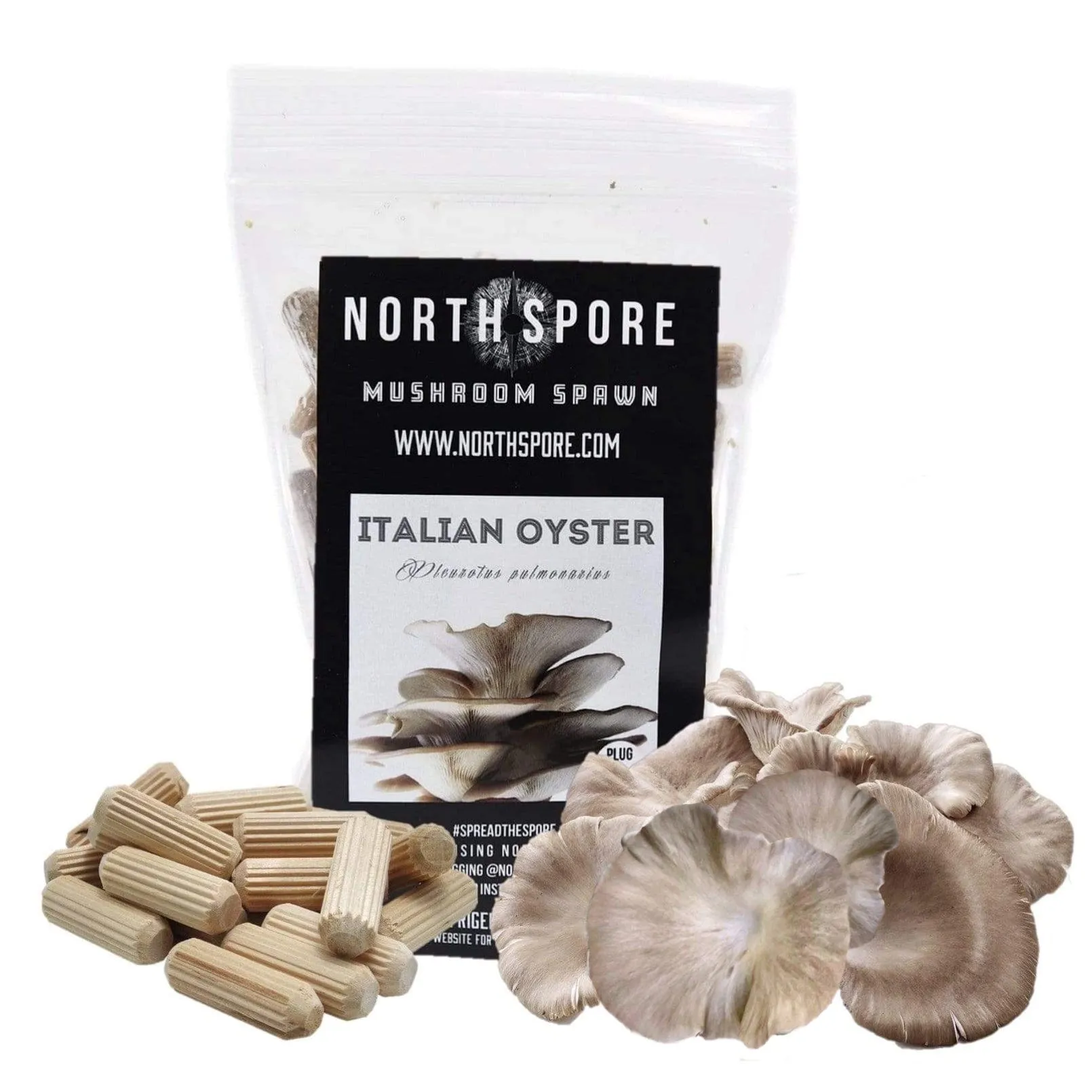 Organic Italian Oyster Mushroom Plug Spawn