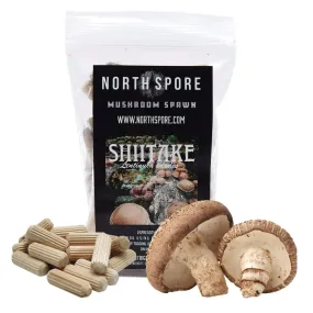 Organic Shiitake Mushroom Plug Spawn